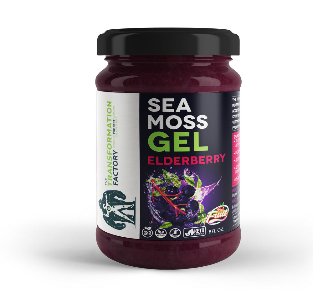 Sea Moss Gel from Wildcrafted Sea Moss – The Transformation Factory