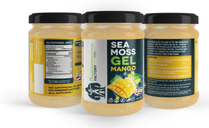 Flavored Sea Moss Gel Collection By The Transformation Factory