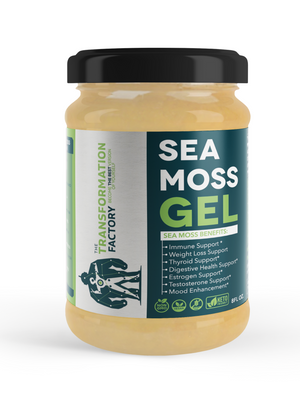 Raw Sea Moss Gel - Irish Sea Moss – The Transformation Factory