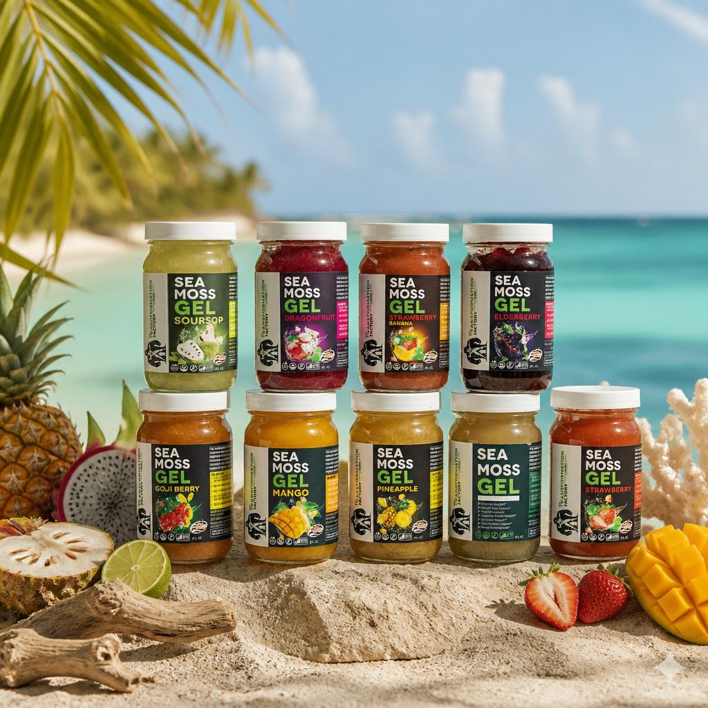 The Transformation Factory Sea Moss gel beach lineup