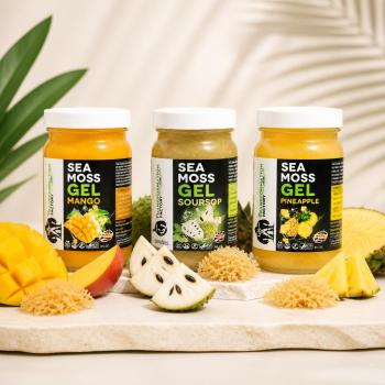 Tropical Bundle